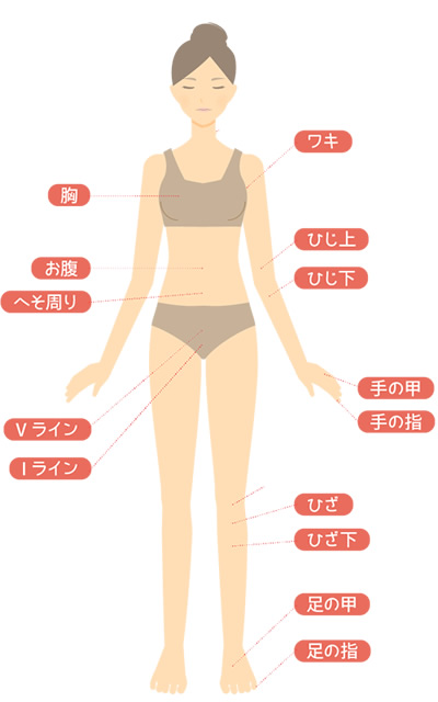 脱毛できる部位